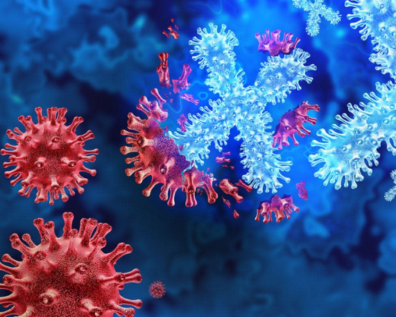 Disease X: Mystery Disease Outbreak in Congo