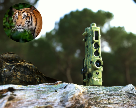 TrailGuard AI: Alert System for Anti-Poaching and Wildlife Conservation