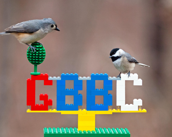 Bengal Tops Bird Count in India for Third Consecutive Year