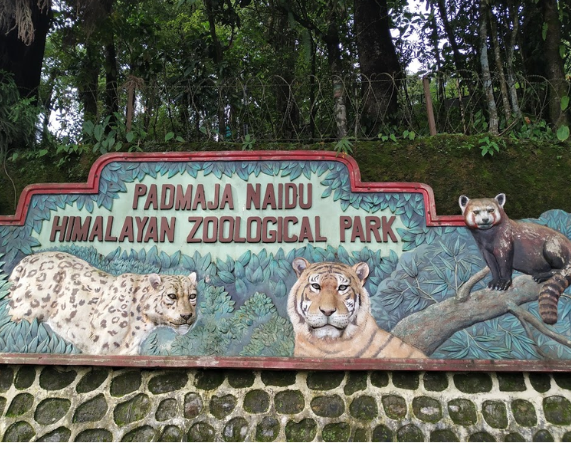 India's First Wildlife Biobank Opens at Darjeeling Zoo