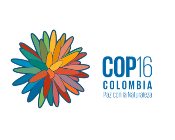 Agri-NBSAPs initiative launched by FAO, Colombia and CBD