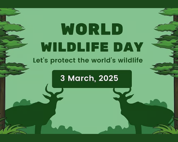 World Wildlife Day 2025: 3 March