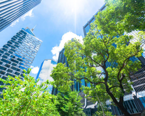 IOB & CII-IGBC Sign MoU to Promote Green Buildings