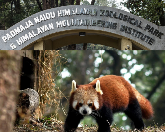 India’s First Zoo to Launch a DNA Preservation Project in Darjeeling