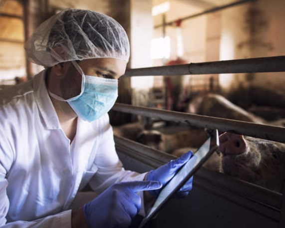 India launches first-of-its-kind Zoonotic Spillover Surveillance Study