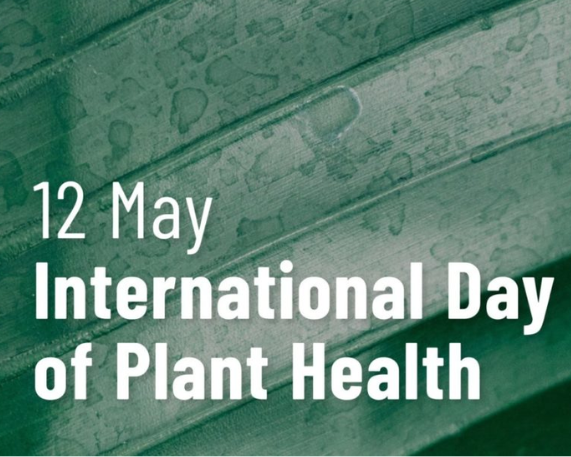International Day of Plant Health: May 12
