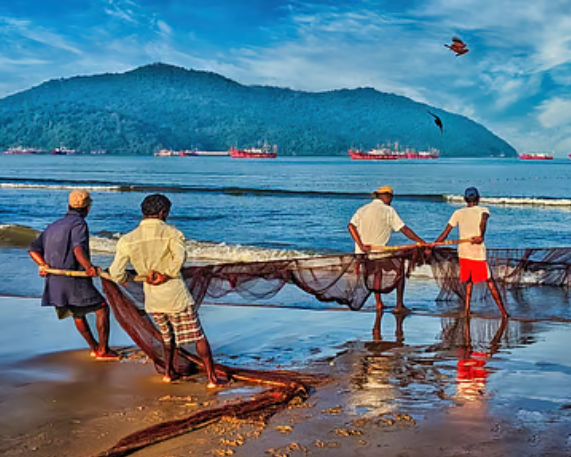 5th Fisheries Census & First Ever Aquaculture Insurance Launched