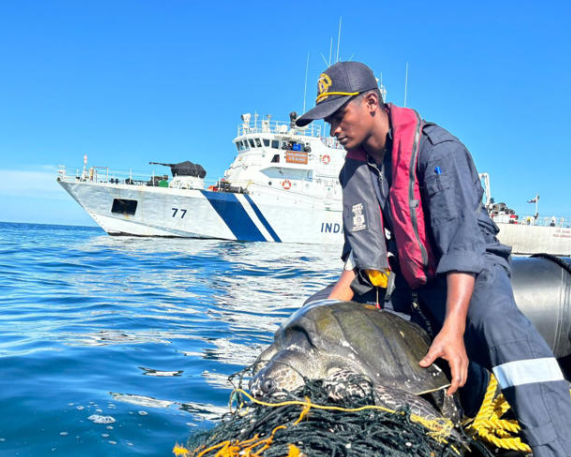 Operation Olivia: Coast Guard’s Marine Conservation Success