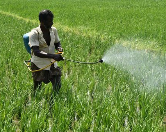 Global Ban on Chlorpyrifos with Exemptions for India