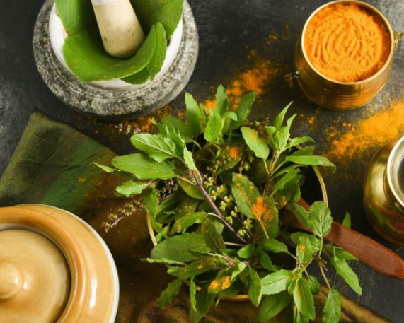 India–WHO Collaboration to Mainstream AYUSH Globally