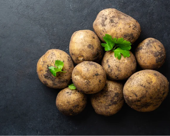 India to Host Global Potato Research Hub in Agra