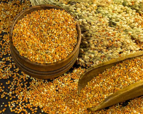 India’s Mission Millet Praised at Global Food Safety Meet in Rome