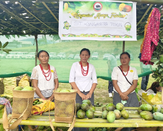 First-Ever Longmatra Mango Festival Held in Kiphire, Nagaland
