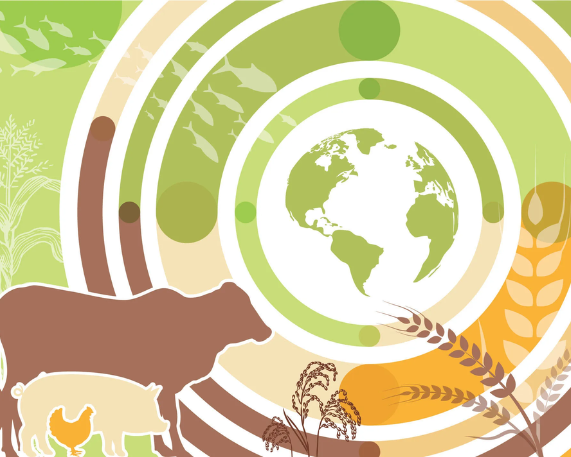 OECD–FAO Agricultural Outlook 2025–2034: Key Global Trends