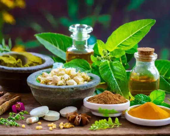 Goa Hosts Historic 10th Ayurveda Day 
