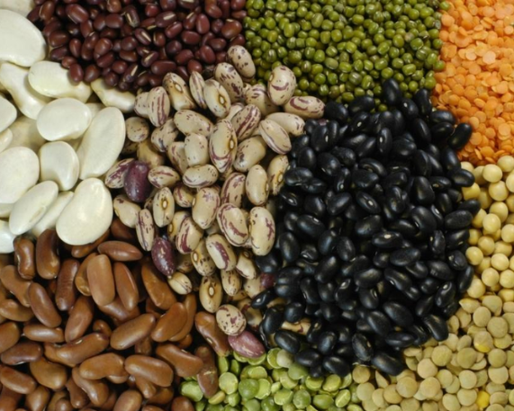Govt Approves “Mission for Aatmanirbharta in Pulses”