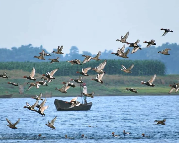 Bihar’s Gogabeel Lake Declared India’s 94th Ramsar Site