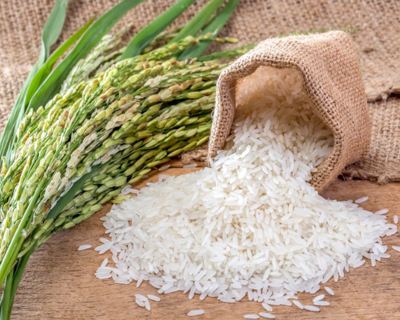 India Exports Fortified Rice to Costa Rica 
