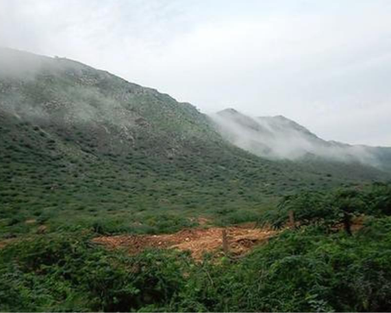 District-Wise Plan to Demarcate Mining Areas in the Aravalli Range