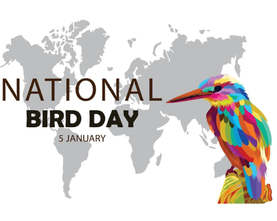 National Bird Day: 5 January 