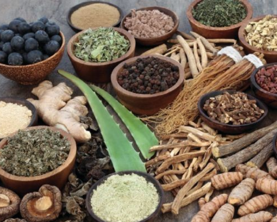 AYUSH Exports Rise 6.11% to USD 688.89 Million in FY 2024–25