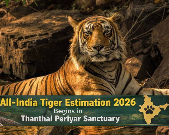 All-India Tiger Estimation began at Thanthai Periyar WLS