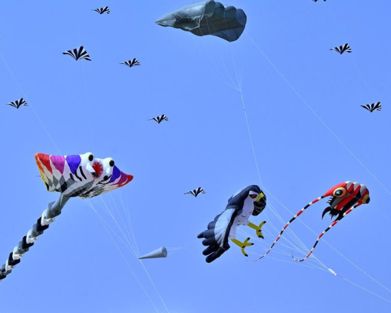 International Kite Festival 2026 held in Ahmedabad
