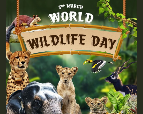 World Wildlife Day 2026 – 3 March 