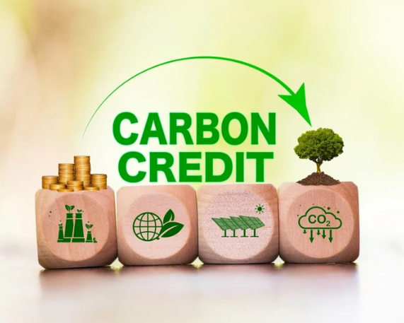 Paris Agreement: UNFCCC Approves First-Ever Carbon Credits