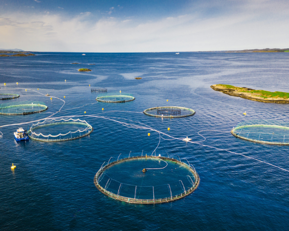 India–Israel MoU on Fisheries & Aquaculture Cooperation (2026)