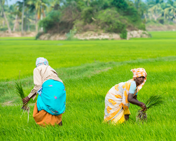 Krishi Sakhi Initiative