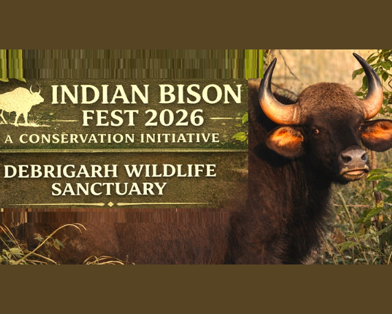 Debrigarh Wildlife Sanctuary Hosts Second Indian Bison Fest