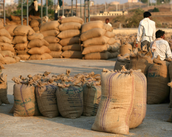 Second Advance Estimates of Agricultural Production (2025–26)