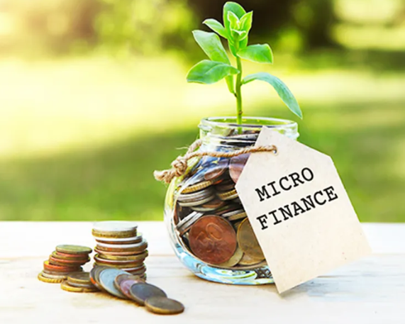 Credit Guarantee Scheme for Microfinance Institutions 2.0