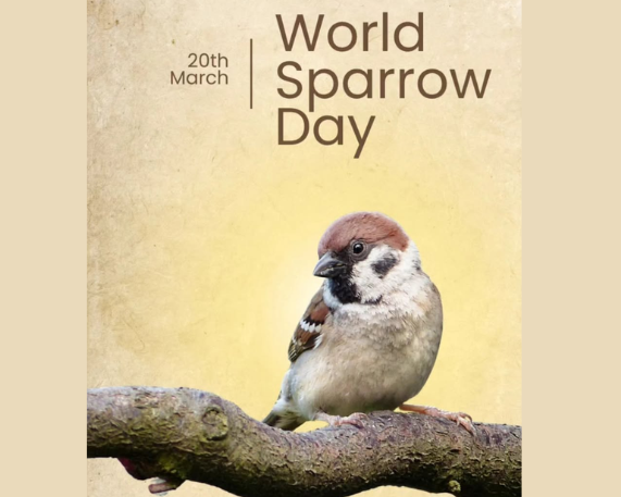 World Sparrow Day 2026: 20 March