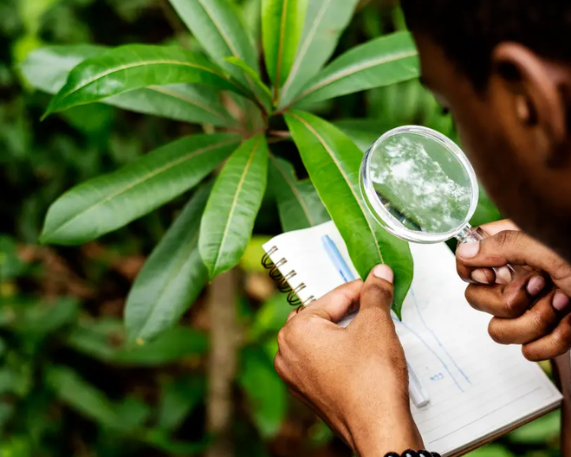 NPC Designated as Environment Audit Agency (EADA)