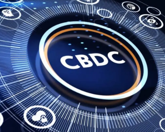 CBDC-Based Food Subsidy Distribution Pilot under PMGKAY