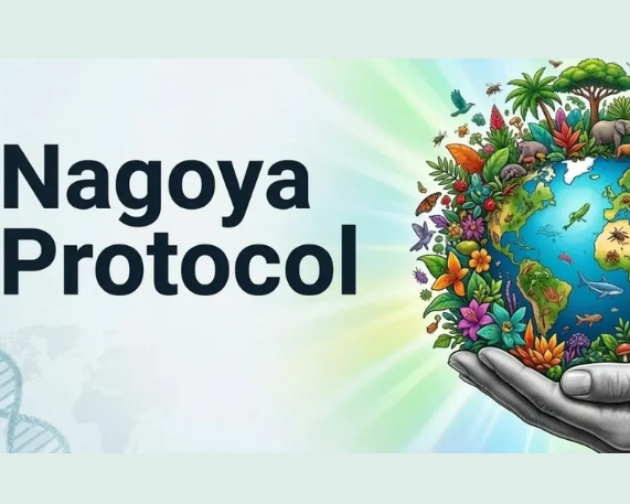 India Leads IRCCs Issuance Under Nagoya Protocol On ABS