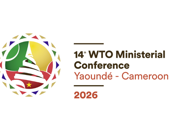 WTO 14th Ministerial Conference (MC14)