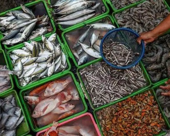 India's Seafood Exports Hit Record ₹72,325.82 Cr in FY 2025-26