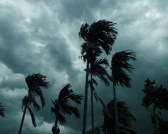 IMD Issues First Stage Forecast for Southwest Monsoon 2026