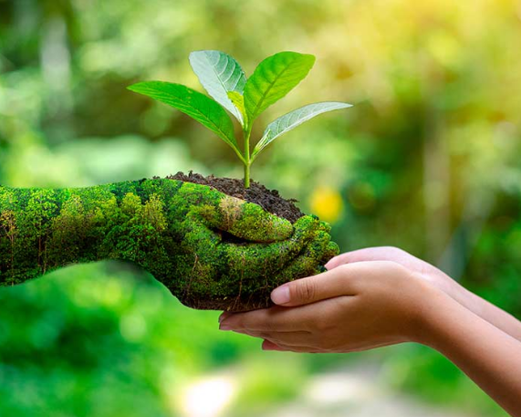 India, GEF, UNDP launch 5-Year Biodiversity Conservation Project