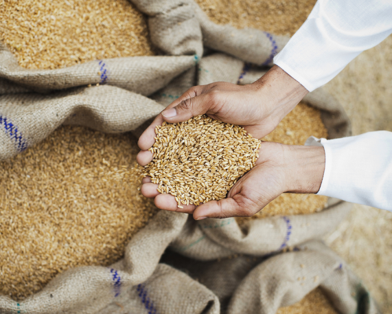 Government approves additional 25 LMT Wheat Export