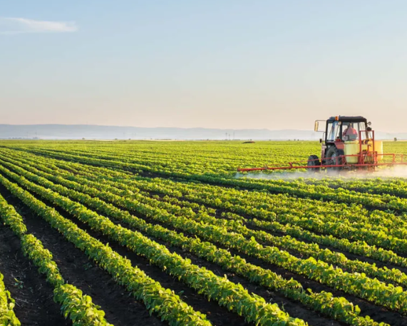 India's Agriculture Sector: Record Production, Global Leadership