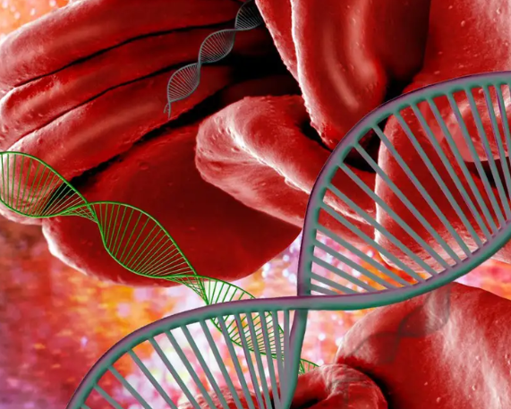 Haemophilia and Other Bleeding Disorders WHO Resolution 2026