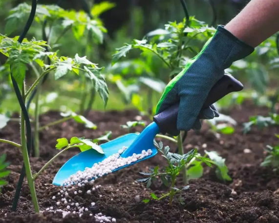 NAAS Brainstorming: Roadmap for Atmanirbharta in Fertilizers