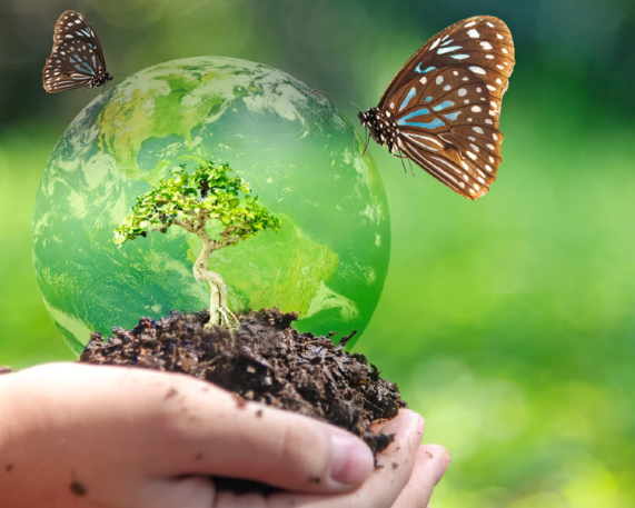 New Institutions Designated as National Biodiversity Repositories