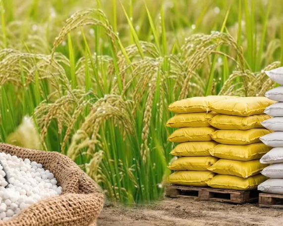Cabinet Approves NBS Rates for Kharif 2026