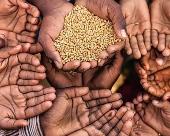 West Asia conflict to Push 2.5 Million Indians Into Poverty: UNDP