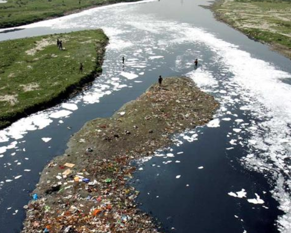 Narmada Pollution: 11,000 Litres of Milk Poured into River